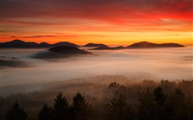 Amanecer, montaña, bosque, nubes, cielo rojo, niebla HD fondos de pantalla