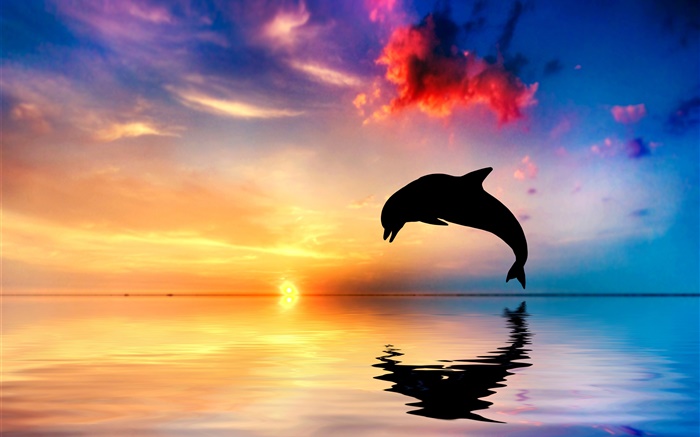 Salto de delfín, silueta, océano, reflexión del agua, puesta del sol Fondos de pantalla, imagen