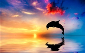 Salto de delfín, silueta, océano, reflexión del agua, puesta del sol