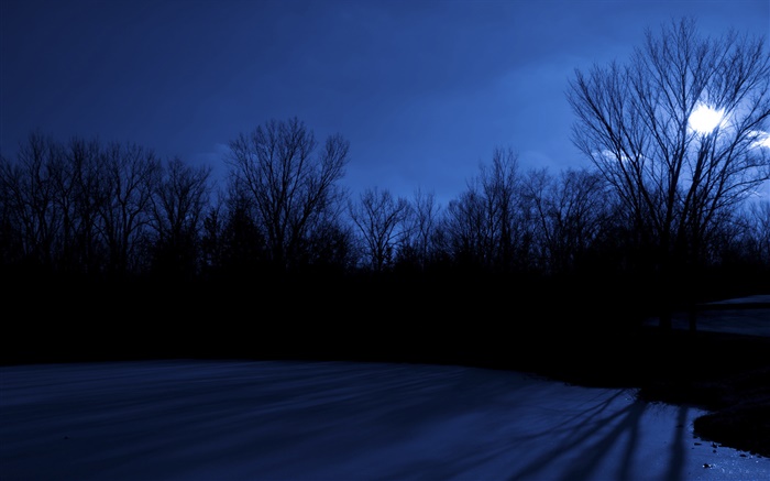 Lago Pascua, árboles, noche, luna, Des Moines, Iowa, EE.UU. Fondos de pantalla, imagen
