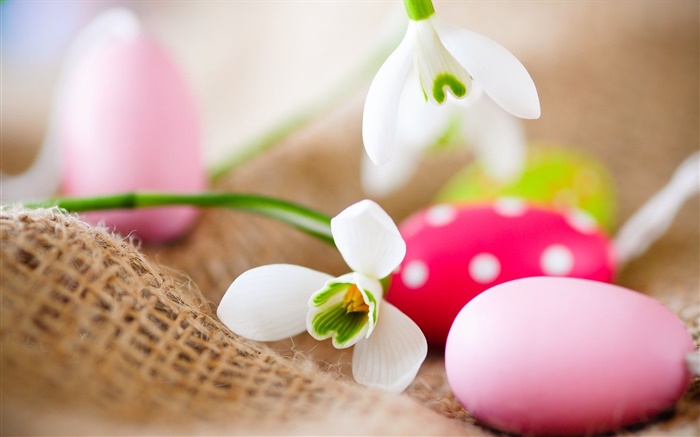 Huevos de Pascua, campanillas de invierno Fondos de pantalla, imagen