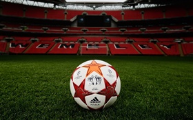 Fútbol, la Liga de Campeones, campo de hierba, estadio, Wembley