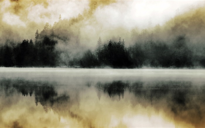 Bosque, lago, niebla, amanecer, la reflexión del agua Fondos de pantalla, imagen