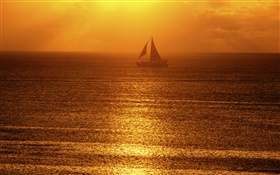 Mañana, niebla, mar, barco, los rayos del sol