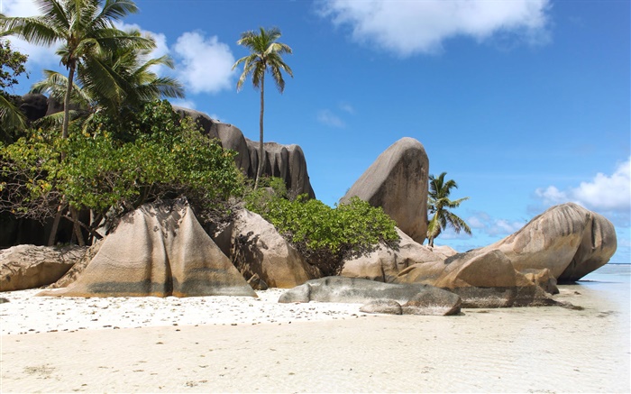 Island Seychelles, playa, piedras, palmeras Fondos de pantalla, imagen