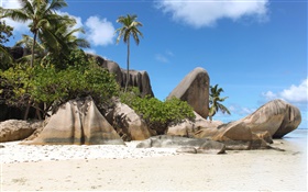 Island Seychelles, playa, piedras, palmeras HD fondos de pantalla