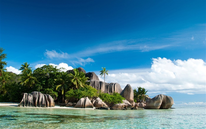 Seychelles Isla, mar, costa, piedras, palmeras, nubes Fondos de pantalla, imagen