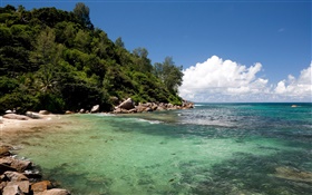 Seychelles Island, cuesta, mar, costa, nubes HD fondos de pantalla