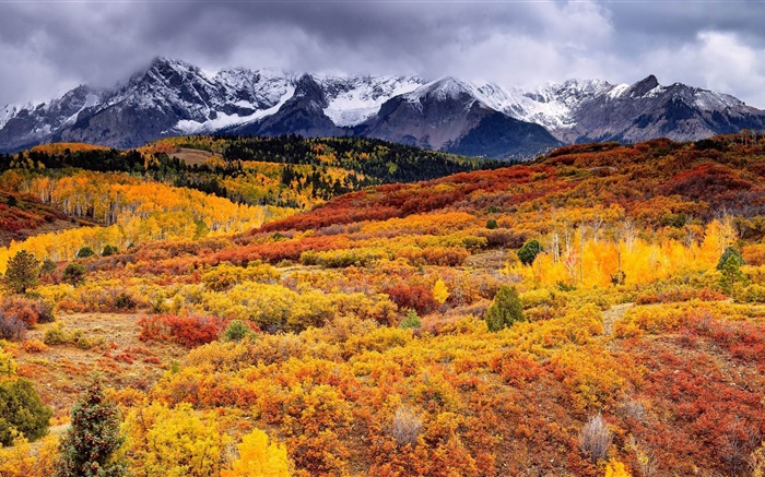 pendiente, montañas, árboles, otoño, las nubes Fondos de pantalla, imagen