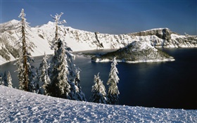 Nieve, laguna volcánica, árboles