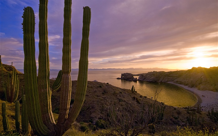 Puesta de sol, montañas, mar, isla de Santa Catalina, California, EE.UU. Fondos de pantalla, imagen
