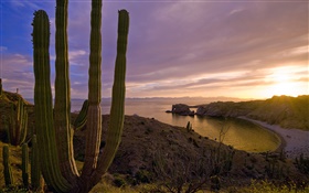 Puesta de sol, montañas, mar, isla de Santa Catalina, California, EE.UU.