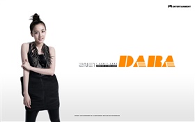 2NE1, niñas de música coreana 13 HD fondos de pantalla