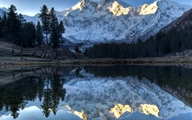 Montañas, lago, árboles, reflexión del agua, nieve