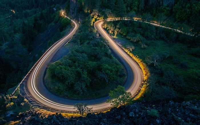 Noche, carretera, árboles, luces Fondos de pantalla, imagen