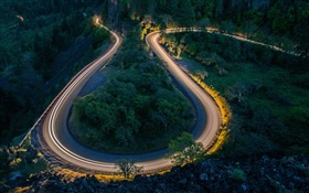 Noche, carretera, árboles, luces HD fondos de pantalla