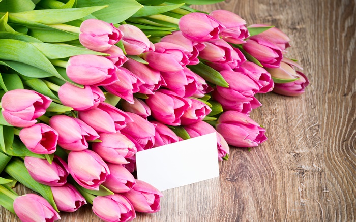 Tulipanes de color rosa, flores del ramo Fondos de pantalla, imagen