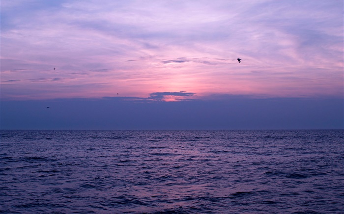 Mar, puesta del sol, cielo, nubes, pájaros Fondos de pantalla, imagen