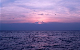 Mar, puesta del sol, cielo, nubes, pájaros