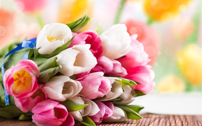 Primavera, tulipanes, flores, blanco, rosa Fondos de pantalla, imagen