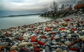 Piedras, lago, árboles, crepúsculo HD fondos de pantalla