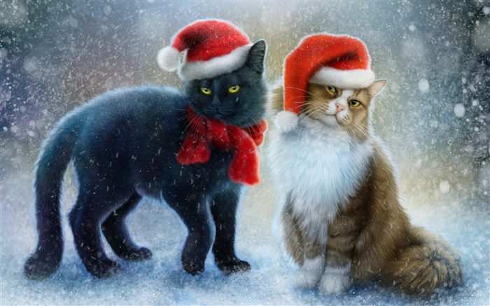 Dos gatos, nieve, bufanda, sombrero de la Navidad Fondos de pantalla, imagen