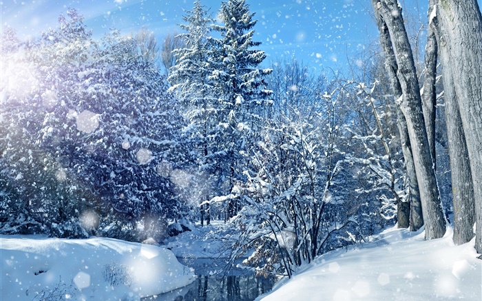 Invierno, bosque, árboles, río, nieve gruesa Fondos de pantalla, imagen