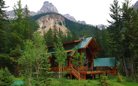 Alberta, Canadá, villa, casa, bosque, árboles, montañas HD fondos de pantalla