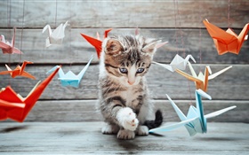 Gatito lindo, pájaros de papel de colores