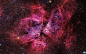 Eta Carinae, estrellas, hermoso espacio