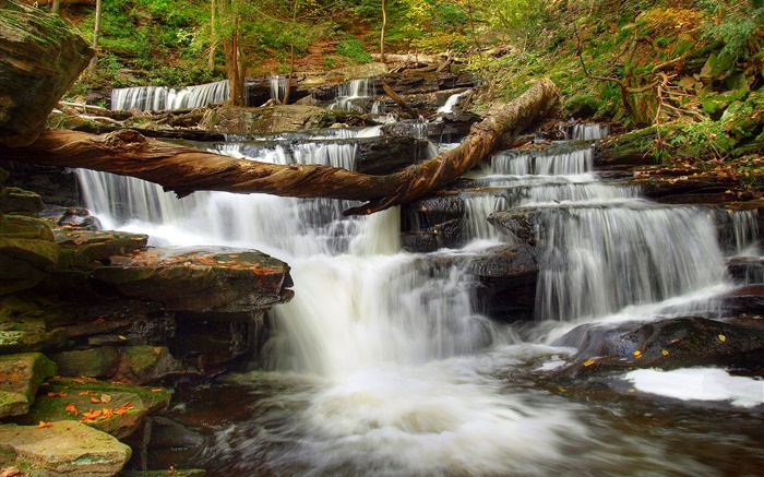 Bosque, piedras, río, arroyo, cascada Fondos de pantalla, imagen