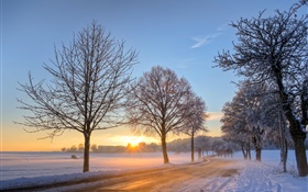 Alemania, invierno, nieve, árboles, camino, casa, puesta del sol