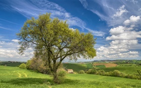 Italia, paisaje de la naturaleza, colinas, campos, casa, árbol, primavera HD fondos de pantalla