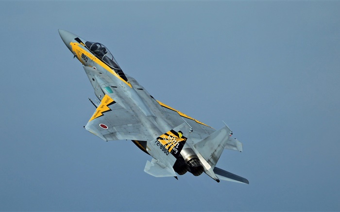Combate McDonnell Douglas F-15 Eagle en el cielo Fondos de pantalla, imagen