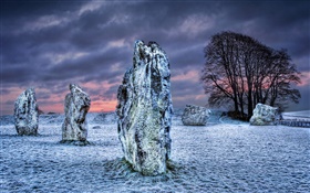 Megalítica, piedras, árboles, nieve, nubes, invierno HD fondos de pantalla