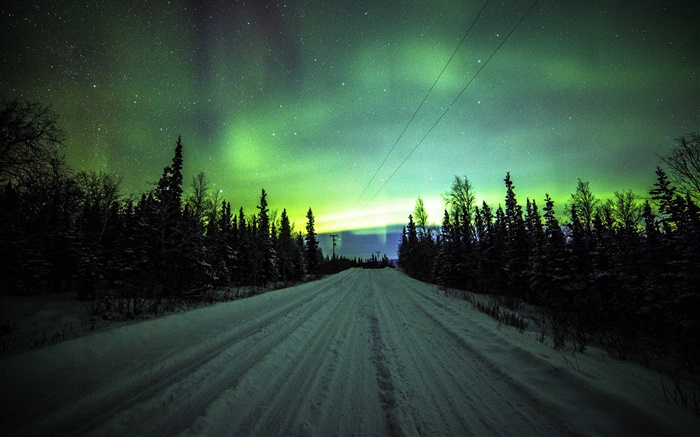 Luces del Norte, carretera, pinos, estrellas Fondos de pantalla, imagen