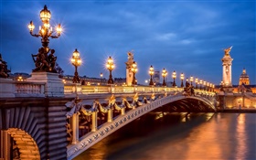 París, Francia, noche, luces, puente