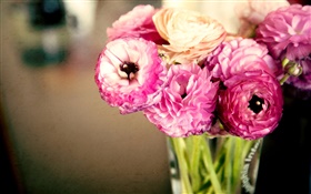 Flores de color rosa, ranúnculo, florero HD fondos de pantalla