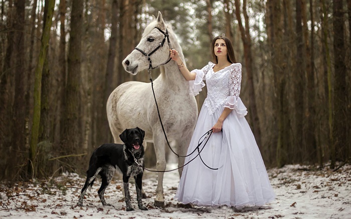 Estilo retro, vestido blanco chica, caballo, perro, bosque Fondos de pantalla, imagen