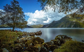 Rogaland, Noruega, lago, montañas, árboles, rocas, nubes HD fondos de pantalla