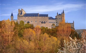 España, Segovia Alcázar, palacio, árboles, cielo, otoño HD fondos de pantalla