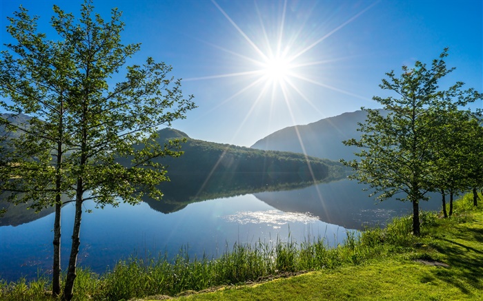 Vigesaa, Rogaland, Noruega, lago, árboles, luz solar Fondos de pantalla, imagen