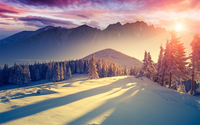 Invierno, nieve, frío, montañas, árboles, abeto, el cielo, la salida del sol, sombras Fondos de pantalla, imagen