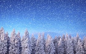 Invierno, abetos, cielo azul, copos de nieve, nieve