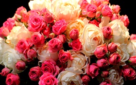Ramo de flores rojas y blancas, rosa HD fondos de pantalla
