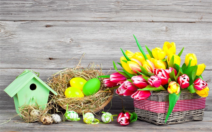 Pascua, huevos de colores, flores de los tulipanes Fondos de pantalla, imagen