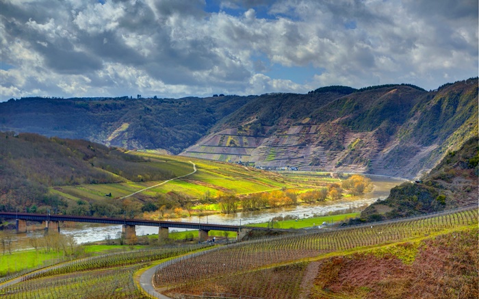Ediger-Eller, Alemania, montañas, río, puente, viñedo Fondos de pantalla, imagen