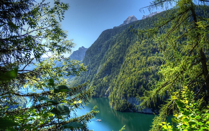 Alemania, Baviera, montañas, bosques, árboles, río Fondos de pantalla, imagen