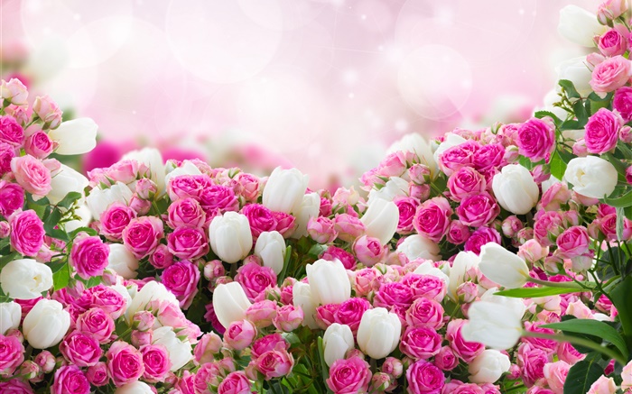 Muchas flores color de rosa, rosa y blanco Fondos de pantalla, imagen