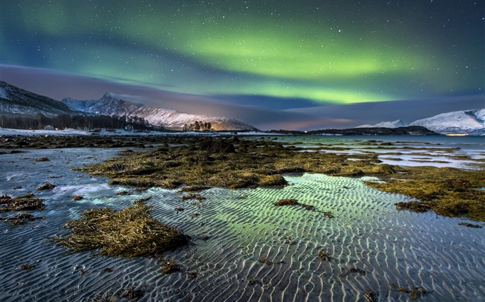 Noruega, las luces del norte, noche, estrellas, mar, costa, invierno, nieve Fondos de pantalla, imagen